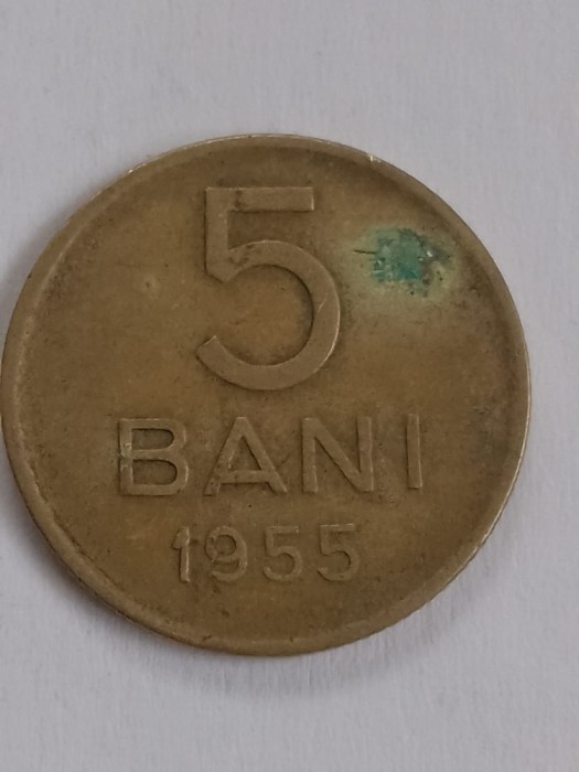 5 bani 1955