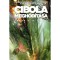 Cibola megh&oacute;d&iacute;t&aacute;sa - A T&eacute;rs&eacute;g 4. - James S. A. Corey