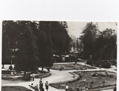 CPI B 11066 CARTE POSTALA - BORSEC, VEDERE DIN PARC foto