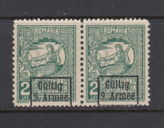 ROMANIA 1917 1918 OCUPATIA GERMANA 2LEI PERECHE CU EROARE MNH foto