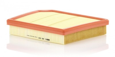 Filtru Aer Mann-Filter C29031 foto