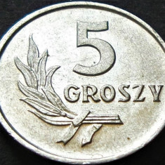 Moneda 5 GROSZY - POLONIA, anul 1962 * cod 3356 = UNC
