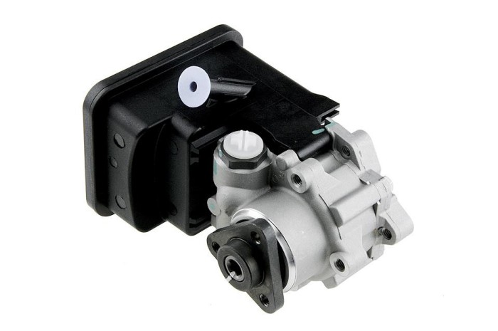 Pompa servodirectie Bmw Seria 3 318d, 320d, 330i, 330xd 1998-2005, 520d, 530d 1996-2003, X5 3.0d 2001-2006, NTY SPW-BM-020
