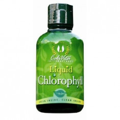 Supliment pentru detoxifiere cu efect diuretic, Liquid Chlorophyll, 473 ml, CaliVita foto