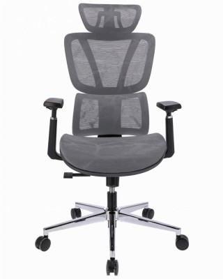 Scaun ergonomic NOVA - gri foto