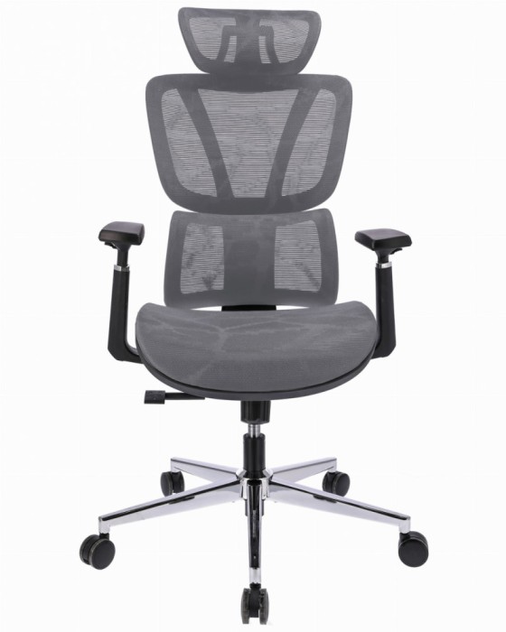 Scaun ergonomic NOVA - gri