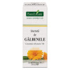 Tinctura Galbenele 50ml PlantExtrakt