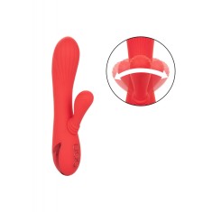 Vibrator Rabbit Palisades Passion cu Incalzire Functie Memorie Silicon USB Rosu 20 cm