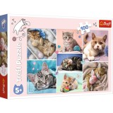 PUZZLE TREFL 100 IN LUMEA PISICILOR, TREFL 100P