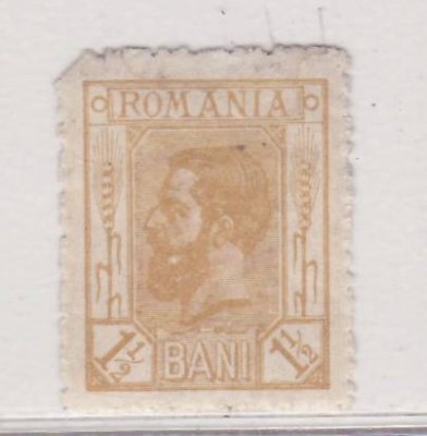 1911 Carol I spic de grau foto