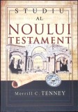 Studiu al Noului Testament - M.C. Tenney, Cartea Crestina, 2008, Romana, 507 pagini