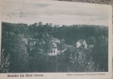 Carte postala, vile din Baile Govora, 1924