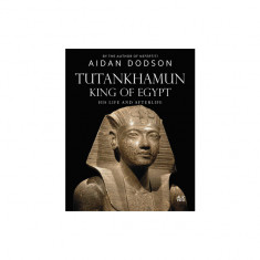 Tutankhamun, King of Egypt: His Life and Afterlife