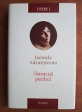 Gabriela Adamesteanu - Dimineata pierduta, 2008, Polirom