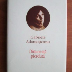 Gabriela Adamesteanu - Dimineata pierduta