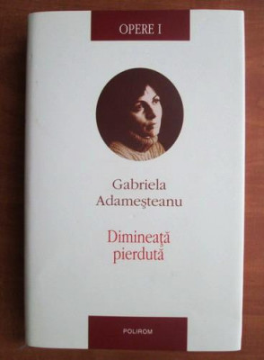 Gabriela Adamesteanu - Dimineata pierduta foto