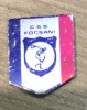 Insigna 0001 CSS Focsani