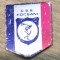 Insigna 0001 CSS Focsani