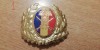 QW14 - Emblema militara / cuc - uscat - anii 1990 - piesa de colectie