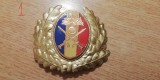 QW14 - Emblema militara / cuc - uscat - anii 1990 - piesa de colectie