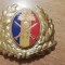 QW14 - Emblema militara / cuc - uscat - anii 1990 - piesa de colectie