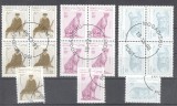 Somali 1998 Animals x 5, used G.172