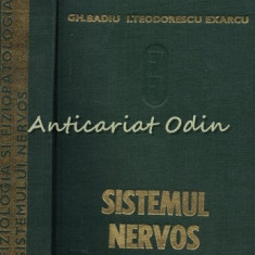 Fiziologia Si Fiziopatologia Sistemului Nervos - Redactia: I. Teodorescu Exarcu