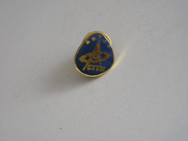 QW9 N8 51 - insigna - tematica tehnica - compas si roata dintata - CTTM