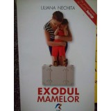 Liliana Nechita - Exodul mamelor (Editia: 2014)