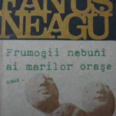 Frumosii nebuni ai marilor orase - Fanus Neagu