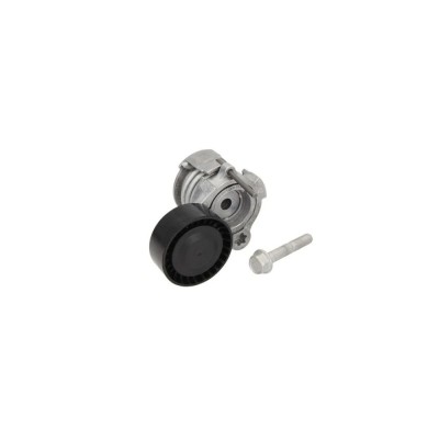 Intinzator curea CHEVROLET CAPTIVA C100 C140 DAYCO APV3091 foto