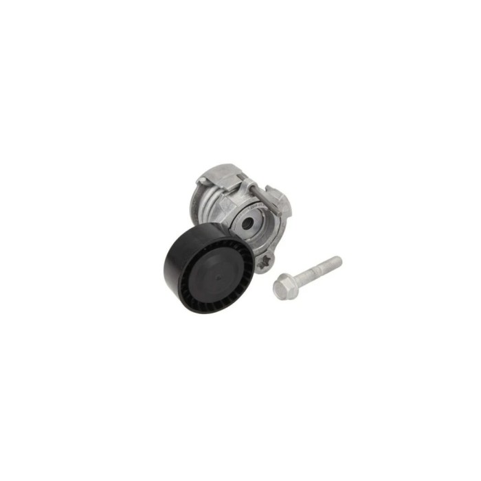 Intinzator curea CHEVROLET CAPTIVA C100 C140 DAYCO APV3091