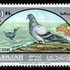 Sharjah 1966, Mi #268**, fauna, pasari, porumbel, supratipar MNH, 140 €! RAR!!!