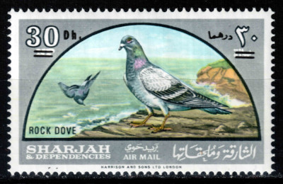 Sharjah 1966, Mi #268**, fauna, pasari, porumbel, supratipar MNH, 140 &amp;euro;! RAR!!! foto