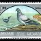 Sharjah 1966, Mi #268**, fauna, pasari, porumbel, supratipar MNH, 140 &euro;! RAR!!!