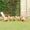 vidaXL Set mobilier de grădină Adirondack, 3 piese, lemn masiv acacia
