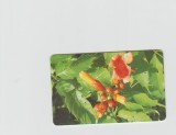 bnk card Cartele telefonice - Romania Romtelecom 2005 - Flowers - Puzzle Complete - Col:RO-ROM-0287
