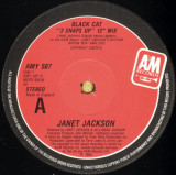 Janet Jackson - Black Cat (Vinyl), VINIL, Dance