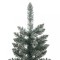 Foto  - 4