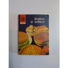 BUDINCI SI SUFLEURI de ELENA RUSU , 1977