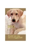 Cumpara ieftin Dulci. Jurnalul unui c&acirc;ine scris de un Puric Dan - Paperback brosat - Dan Puric - Compania Dan Puric