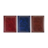 Album foto Clasic, 100 poze, format 10x15cm, etichete notite, pagini carton - Maro, ProCart