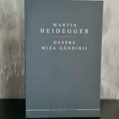 Martin Heidegger - Despre Miza G&acirc;ndirii