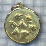 AX 58 MEDALIE- COMPETITIE CANINA - A.N.L.C. RASSEGNA CINOFILA S. ANGELO di P.