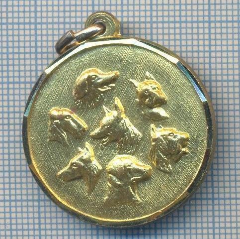 AX 58 MEDALIE- COMPETITIE CANINA - A.N.L.C. RASSEGNA CINOFILA S. ANGELO di P.