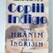 Doreen Virtue - Copiii Indigo. Cum sa-i hranim si sa-i ingrijim