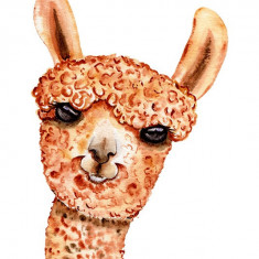 Sticker decorativ Llama, Portocaliu, 82 cm, 5943ST