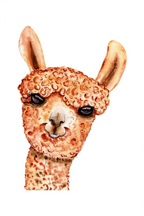 Sticker decorativ Llama, Portocaliu, 82 cm, 5943ST
