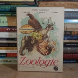 C. BOGOESCU - ZOOLOGIE : MANUAL PENTRU CLASA A 6-A , 1990 *