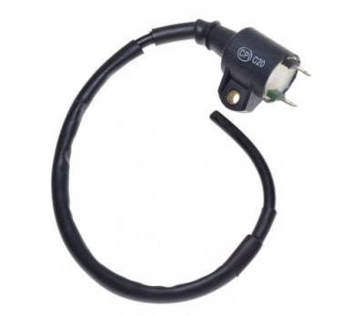 Bobina inductie Cpi Aragon 50 Cod Produs: MX_NEW CAR2011 foto